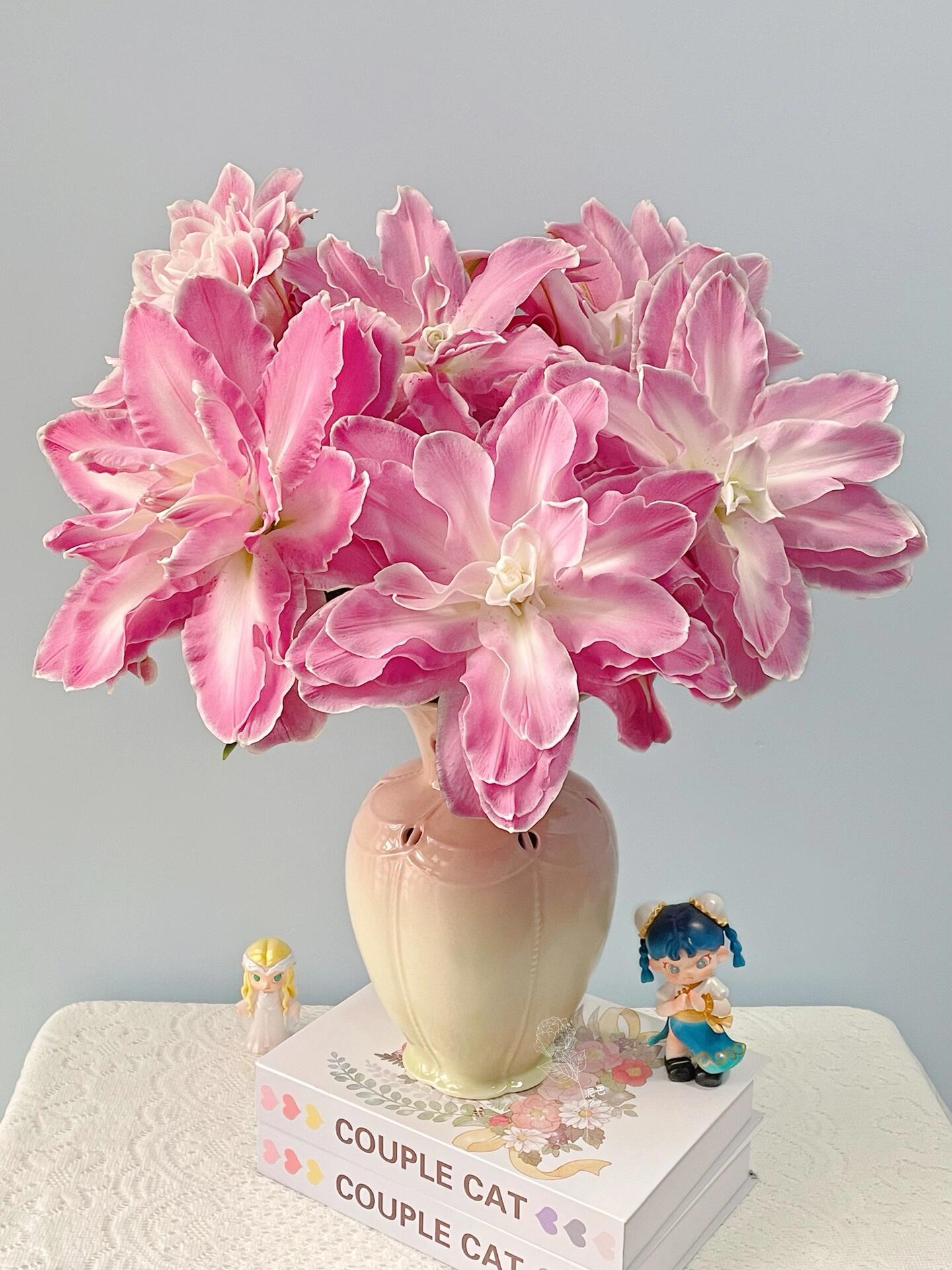 莲花仙子重瓣百合 粉色百合 一头4支4朵  云南基地鲜花家养水养