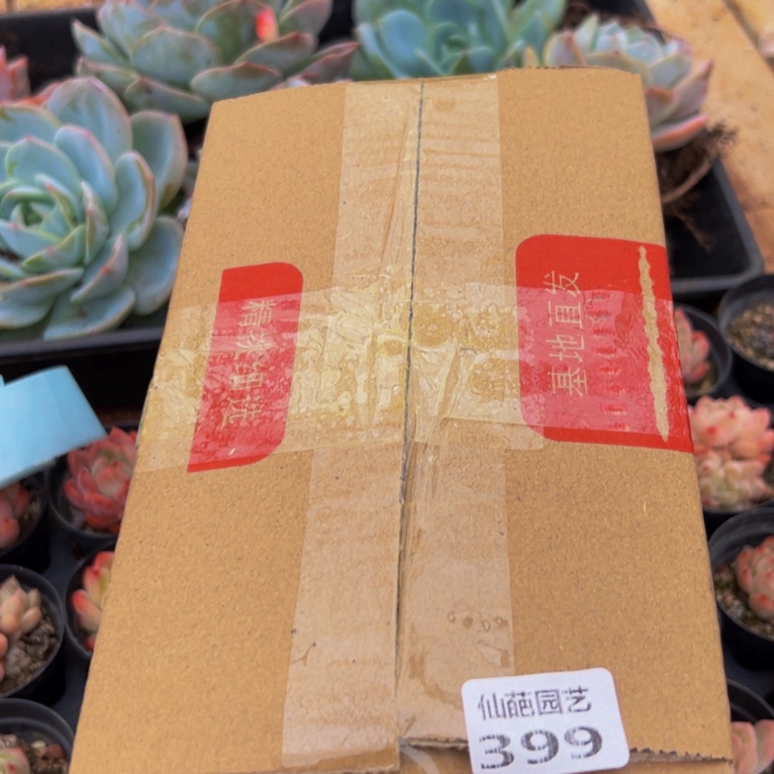 399吃吃吃吃吃吃个vvvv