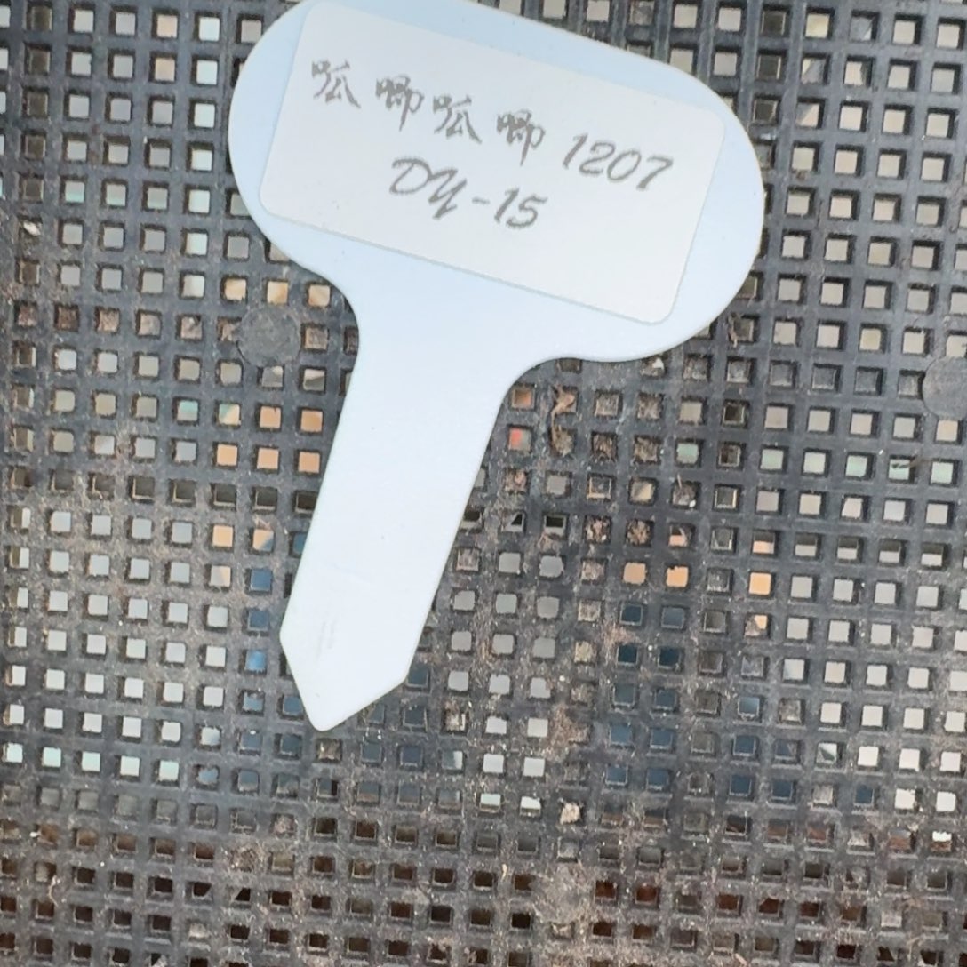 M***y1207-15-miss差价