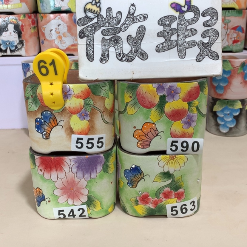 【闪购商品】红陶桑*