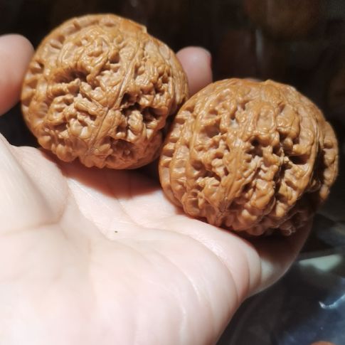 猴头核桃吊坠47粗筋