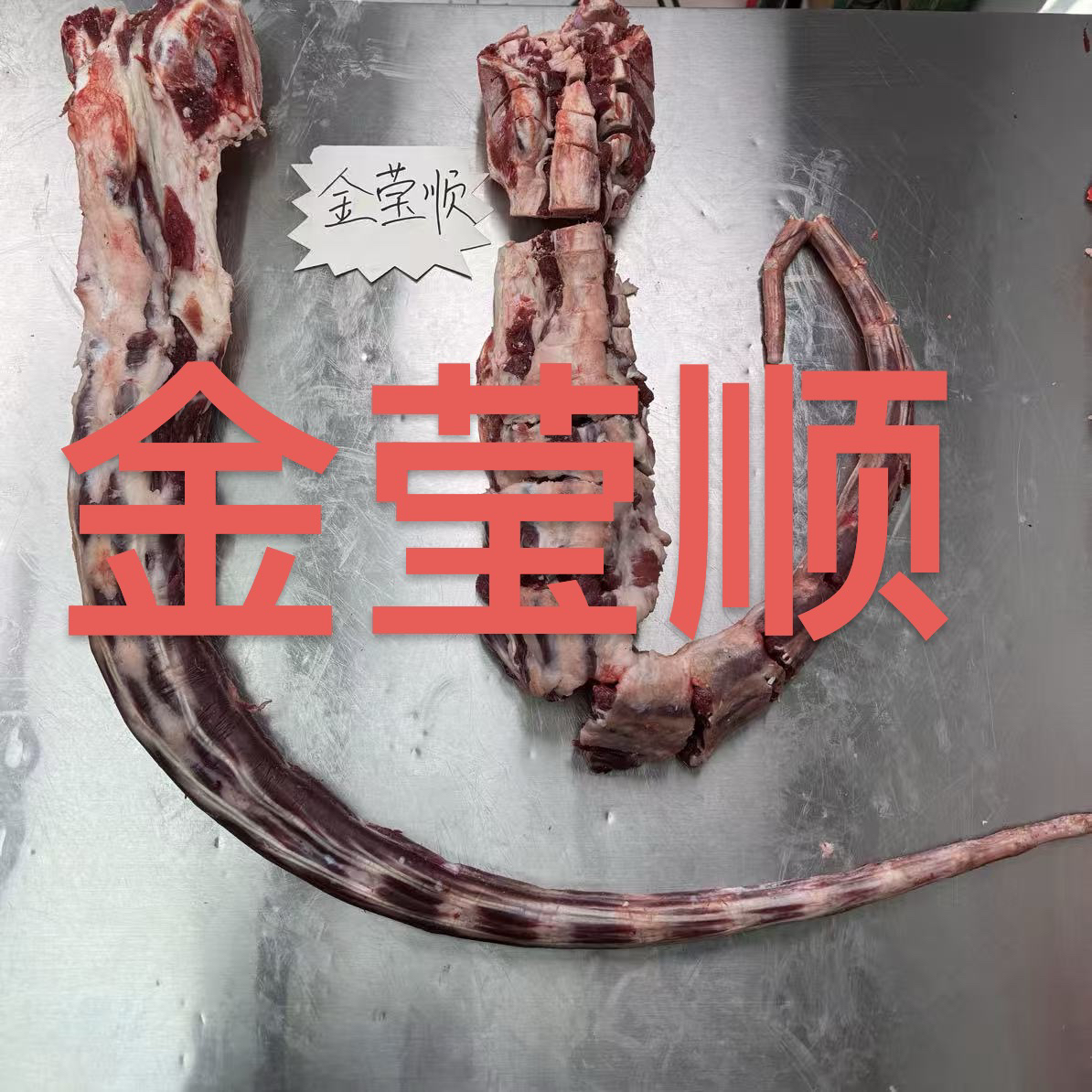 【鲜牛尾！带尾骨！尾骨处肉少慎拍】清真牛尾煲汤红烧鲜牛尾一物一发