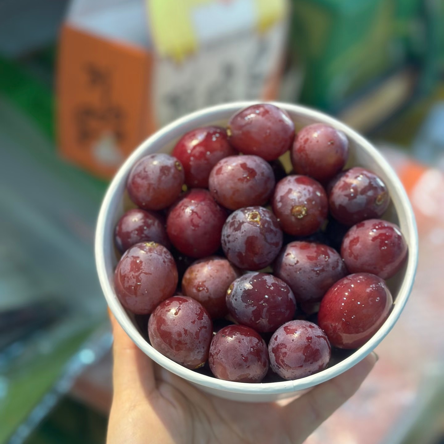 果切辽峰葡萄洗盒