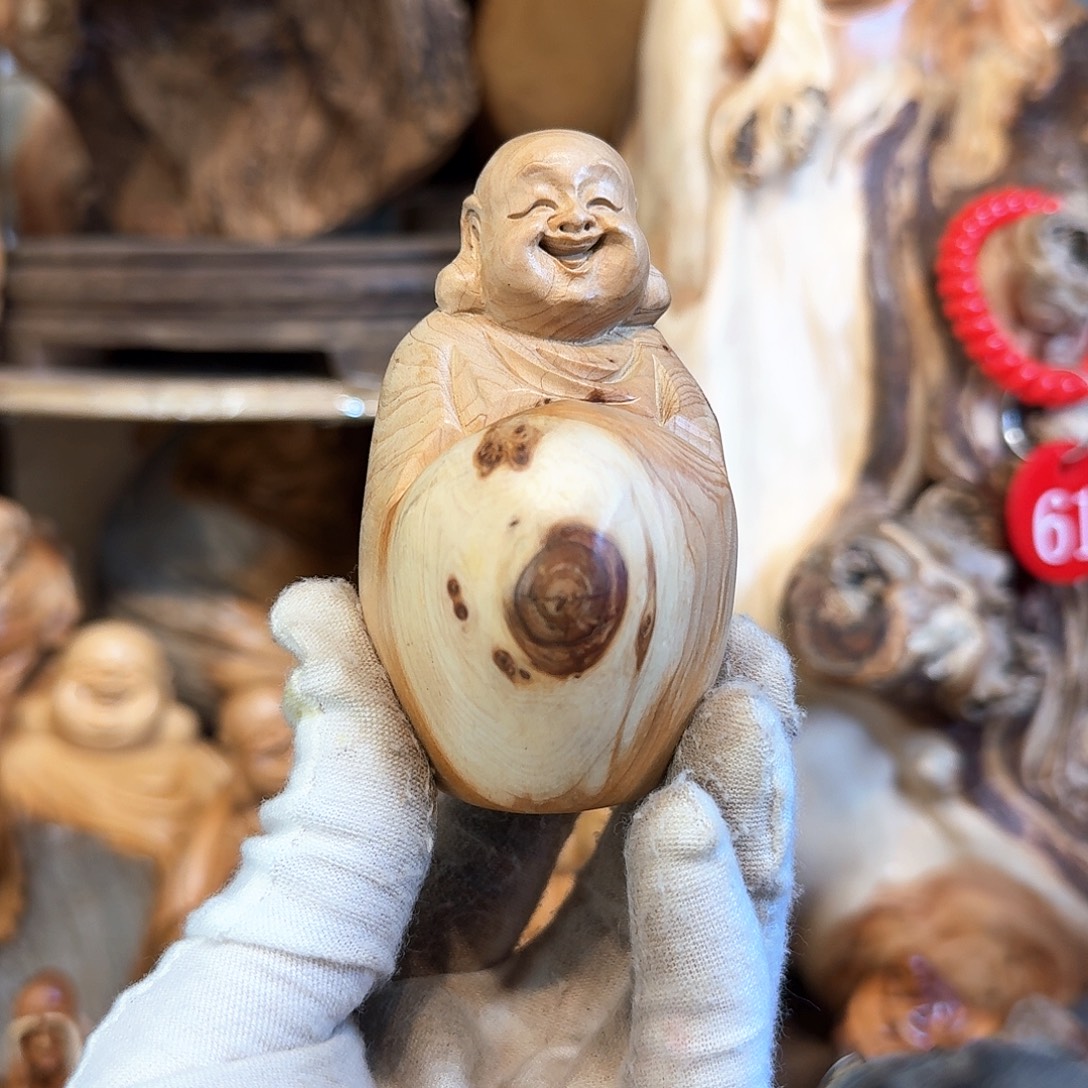 柏木（崖柏）66666666666
