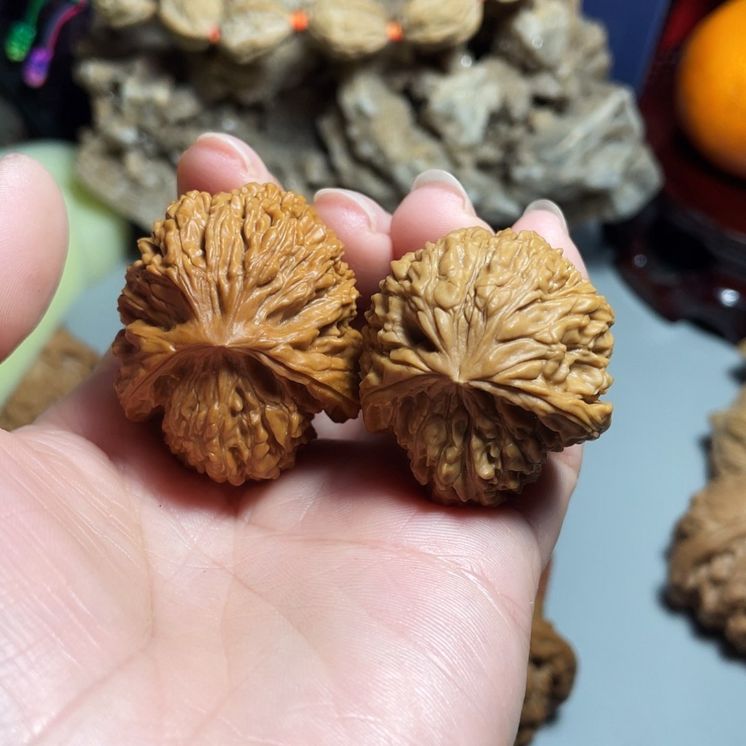 核桃手串/手链精品南疆龟背