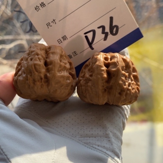 阿***海文玩核桃把件41蛙