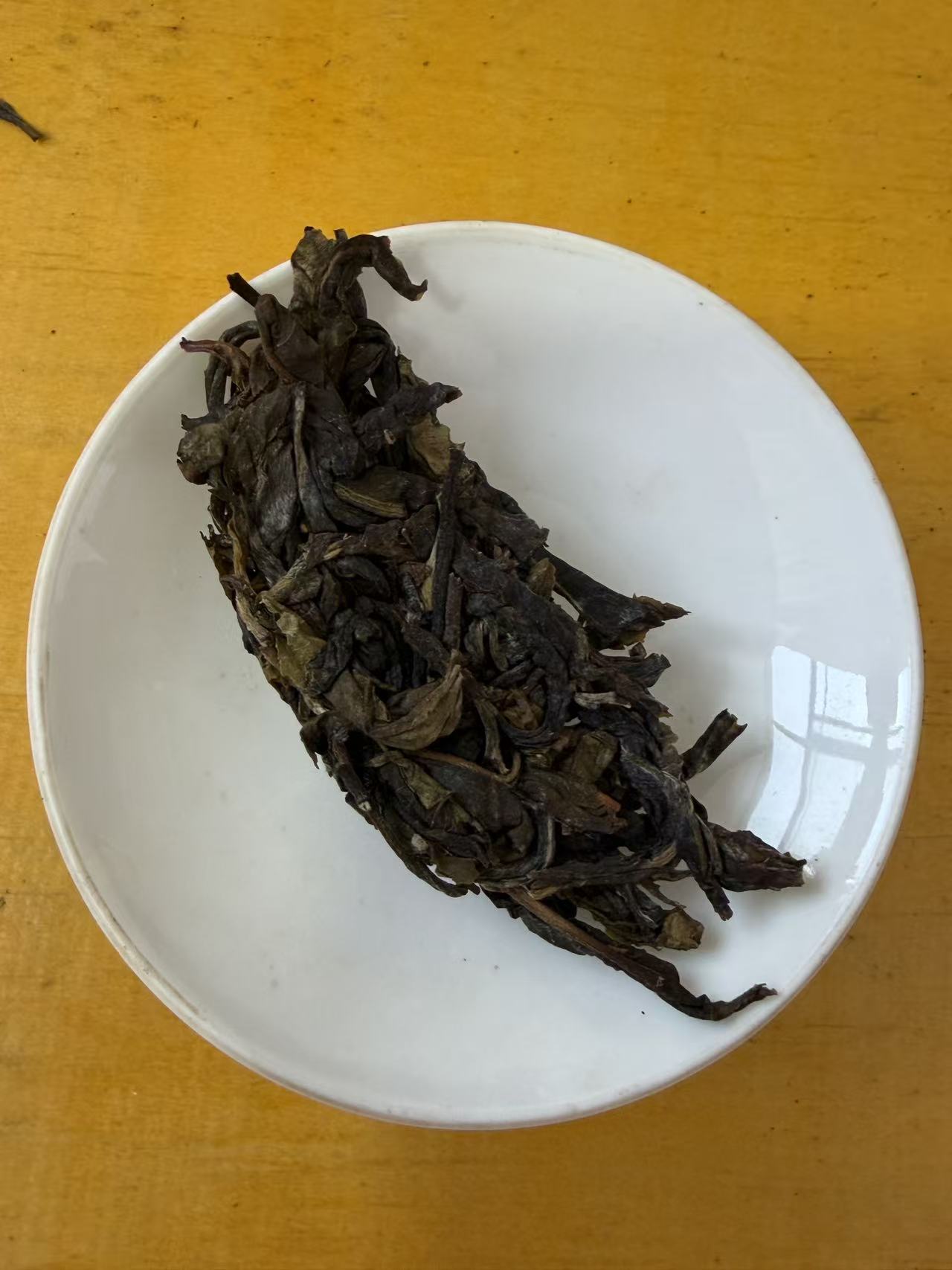冰岛老寨29号2024年古树纯料饼茶8克福袋