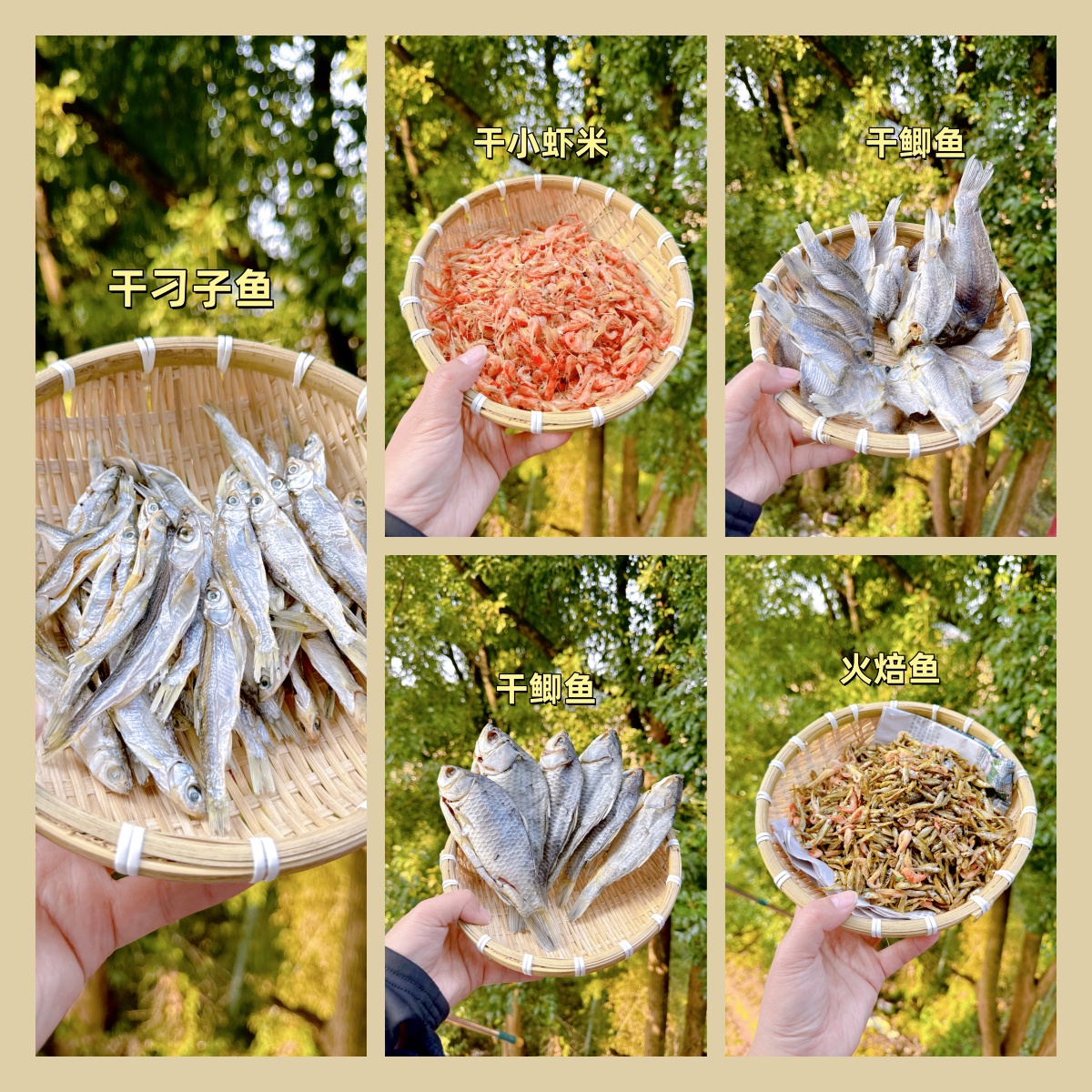 【伶子助农产品】鱼虾干货系列链接