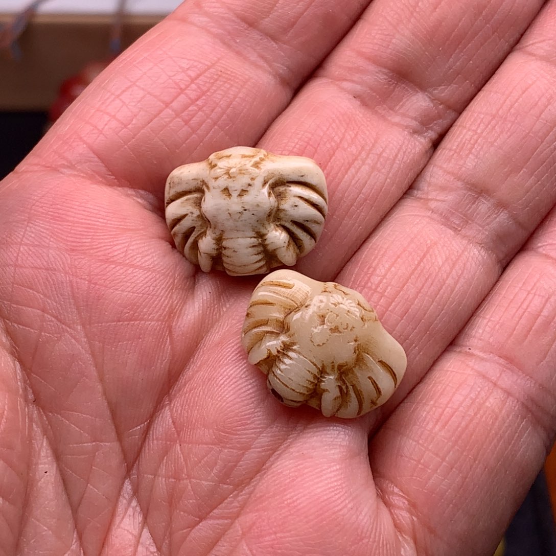 其他驼骨天天都在盘   15