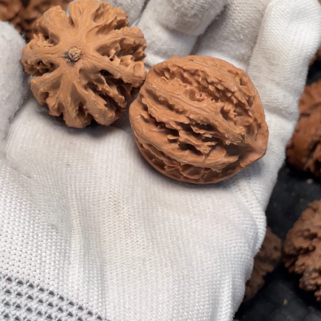 桃核吊坠2秦岭灯笼野生小众