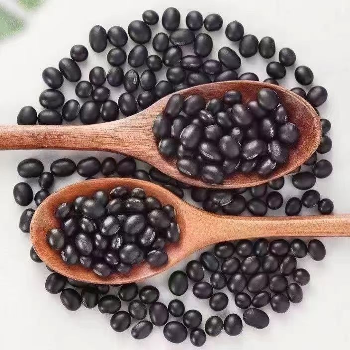 黑豆农家无化肥无农药五谷杂粮