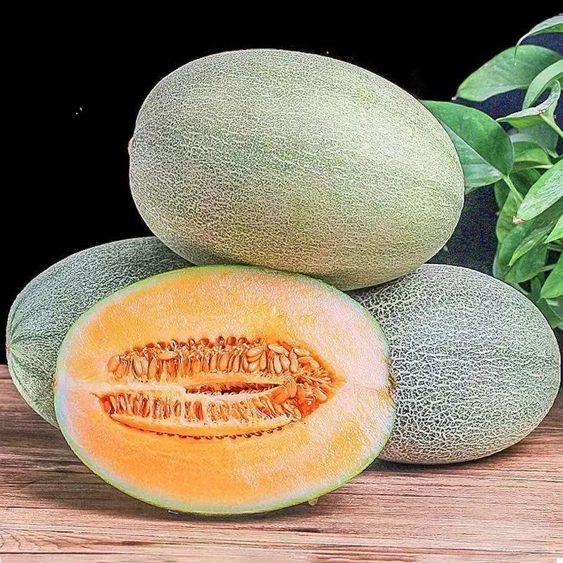 C【西州蜜瓜】新鲜正宗哈密瓜西州蜜大果甜瓜新鲜现摘带箱10斤