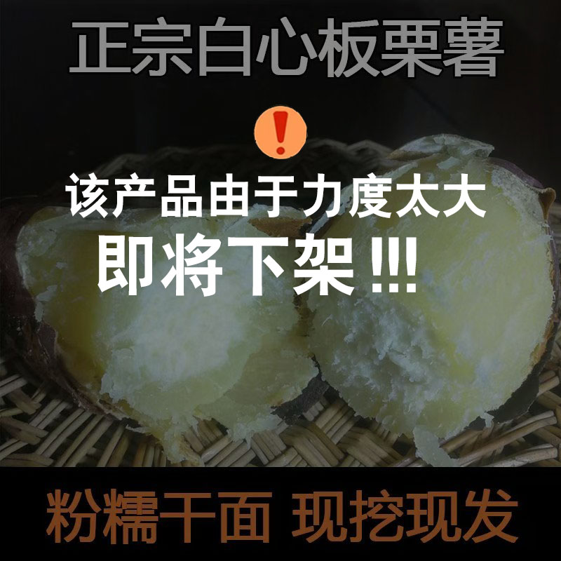 新鲜白心板栗薯红薯沙地农家红皮番薯老品种白瓤地瓜粉面甜山芋