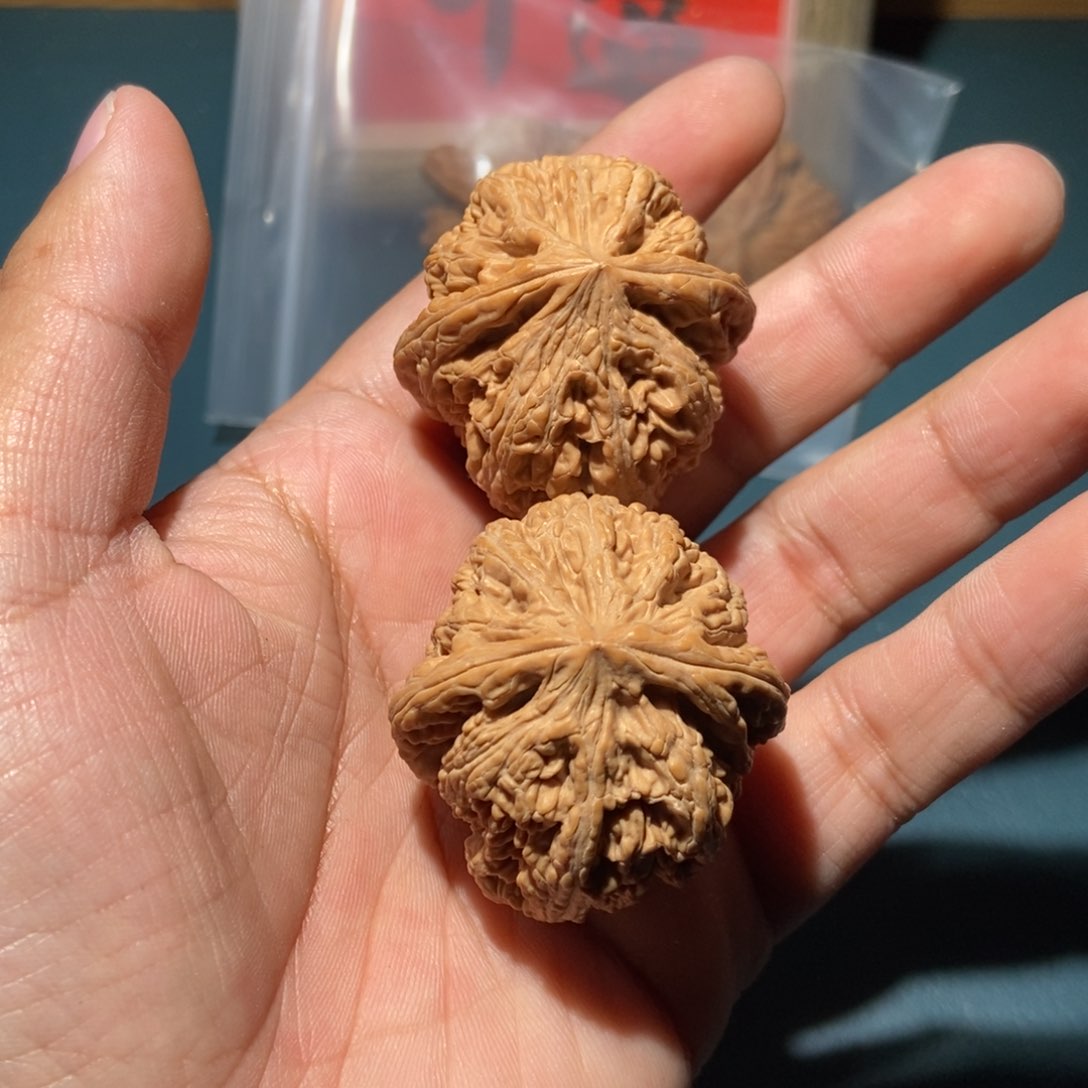 文玩核桃吊坠粗筋26