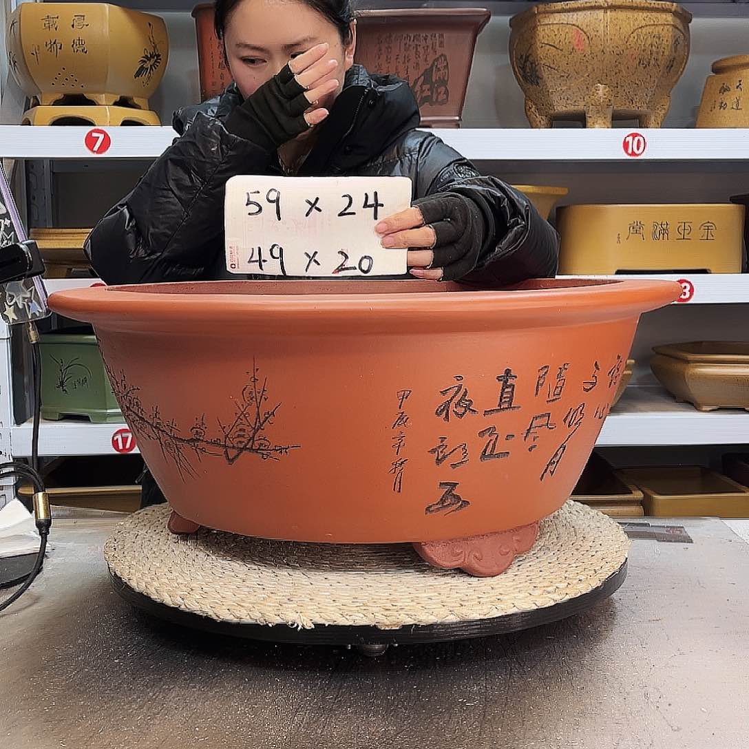 紫砂花盆紫砂花盆