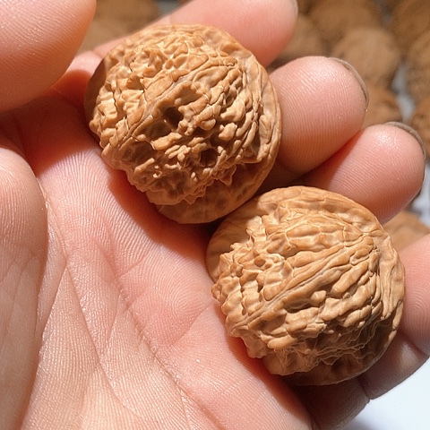 吊坠文玩核桃$**$白狮子