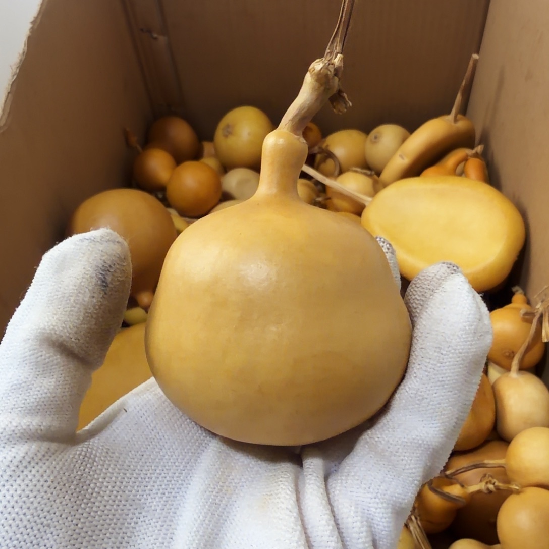 签***签请确认好在下单 34