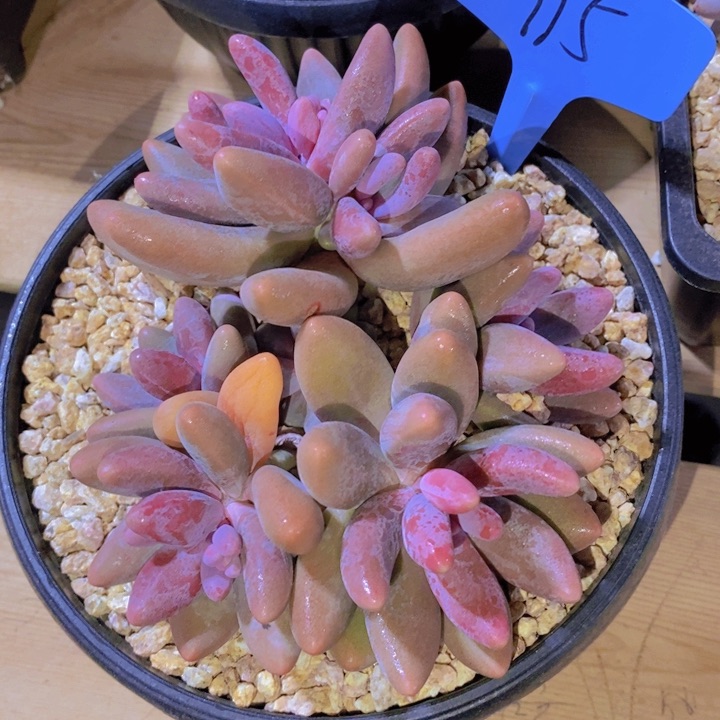 这个我就知道这点