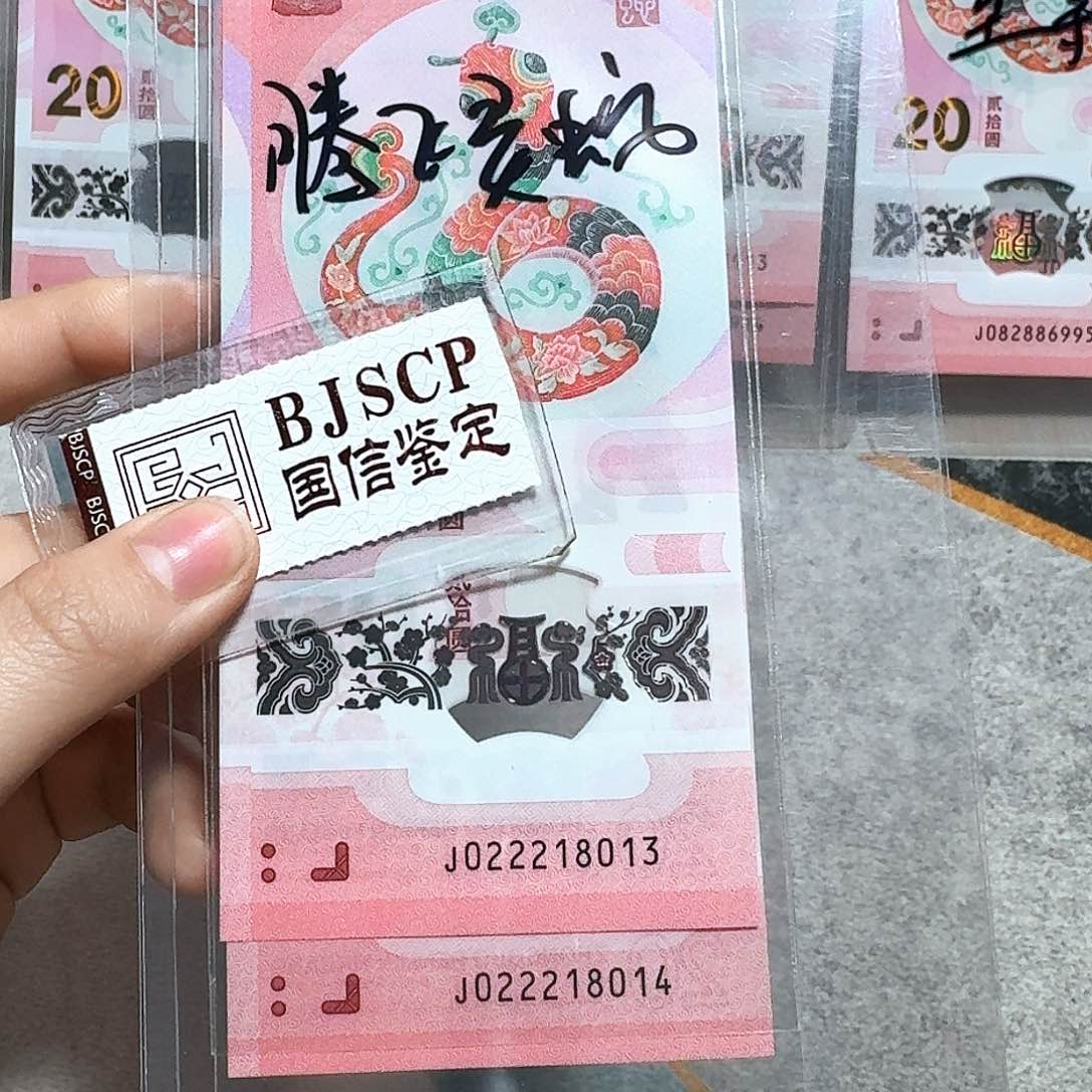 塑料022218013、14。两张 腾飞灵蛇