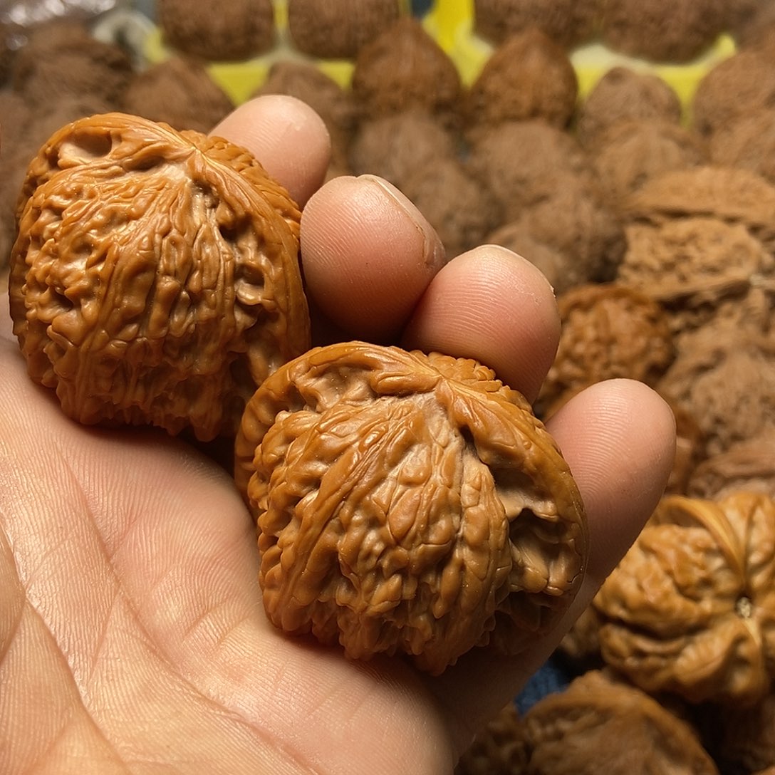 老***山文玩核桃把件白狮子