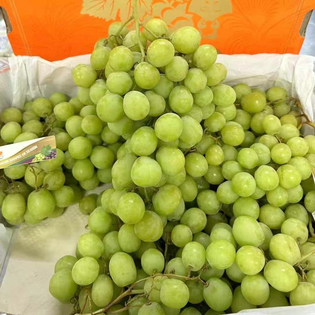 爆炸甜地球葡萄净重3斤