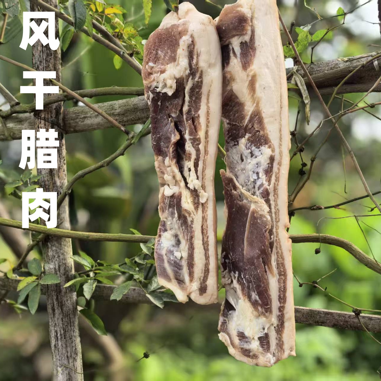 四川腊肉广元风干五花肉