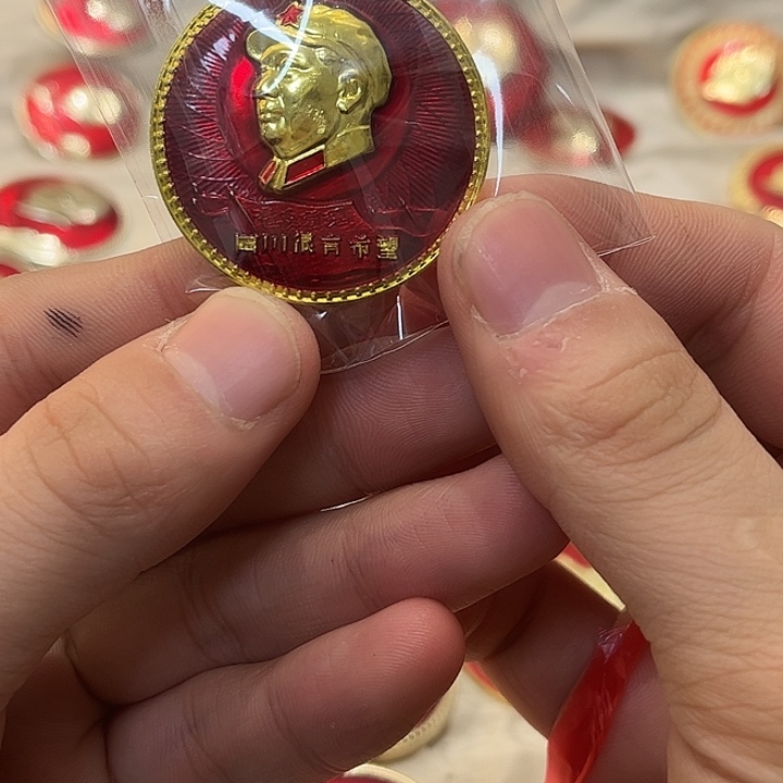 骑***士像章一一一一一一一高贵轻