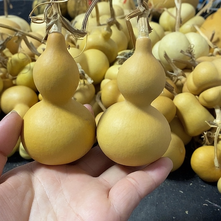 葫芦一对很好看的