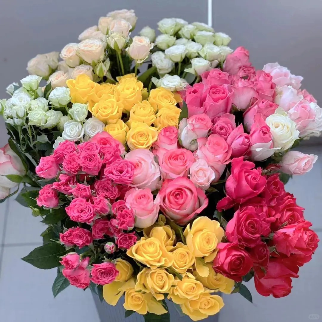 【随机鲜花】  一单也包邮 云南昆明斗南基地直发