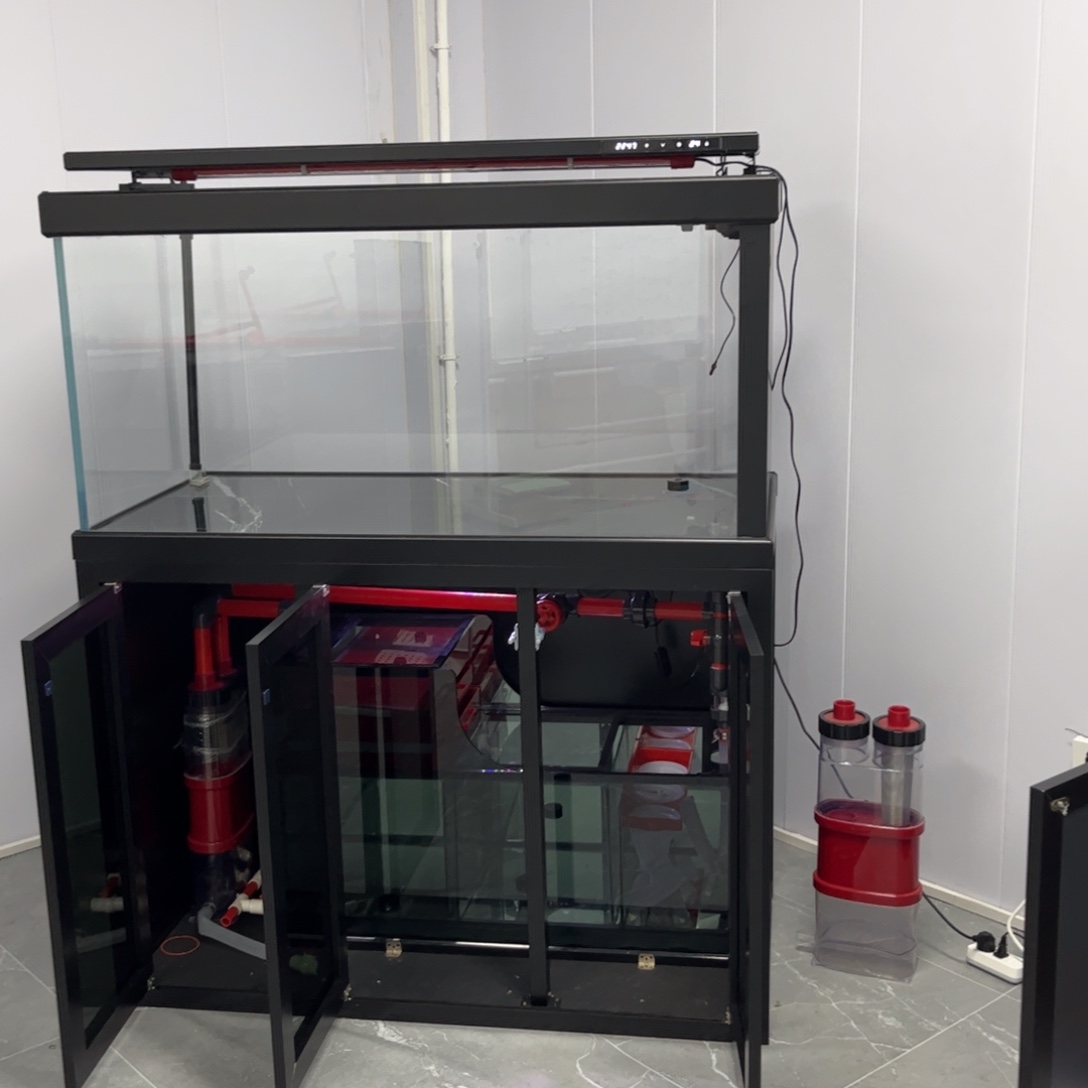 城***府我也想知道这个世界上有没有我