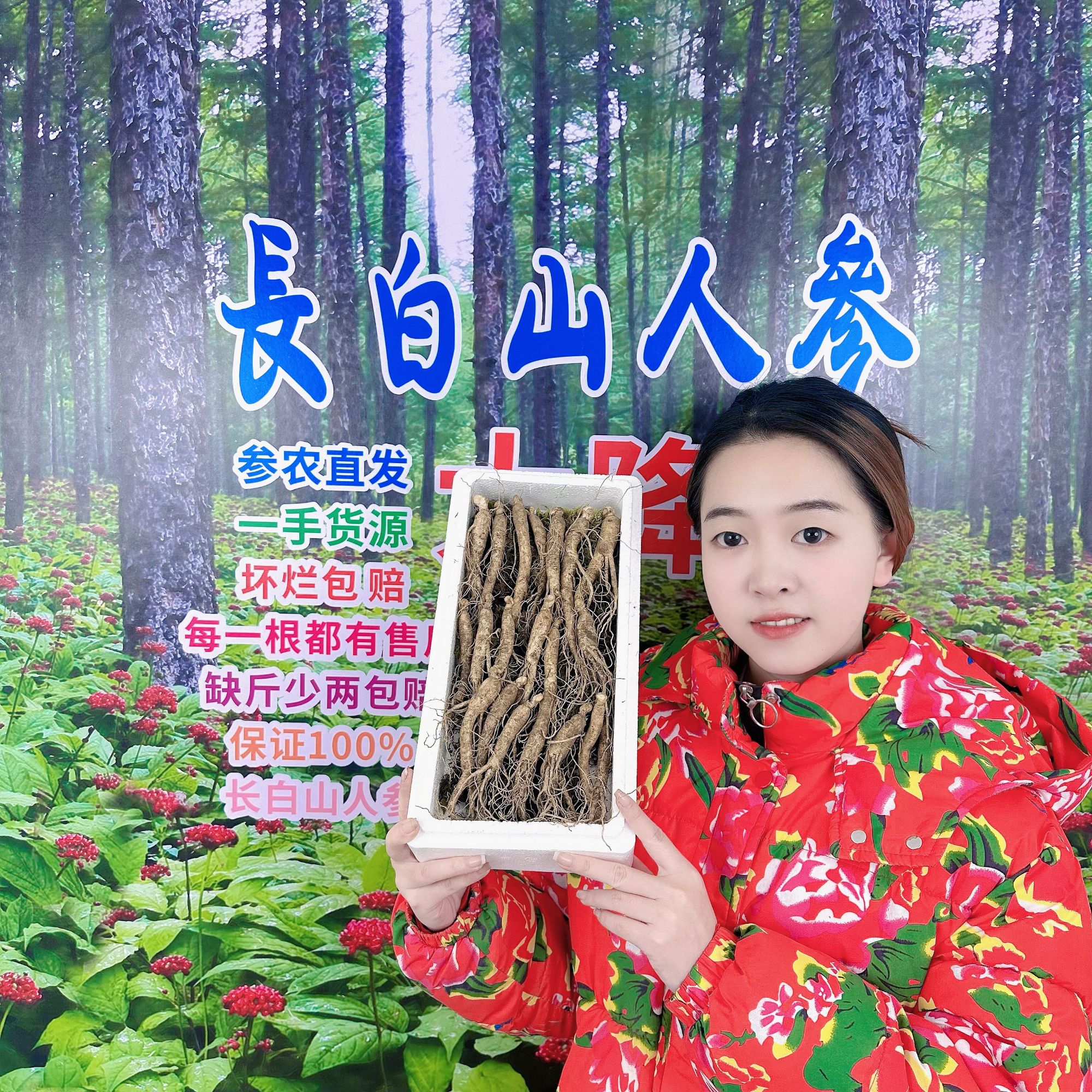 长白山新鲜人参到手20根煲汤泡水炖小鸡怀烂包赔
