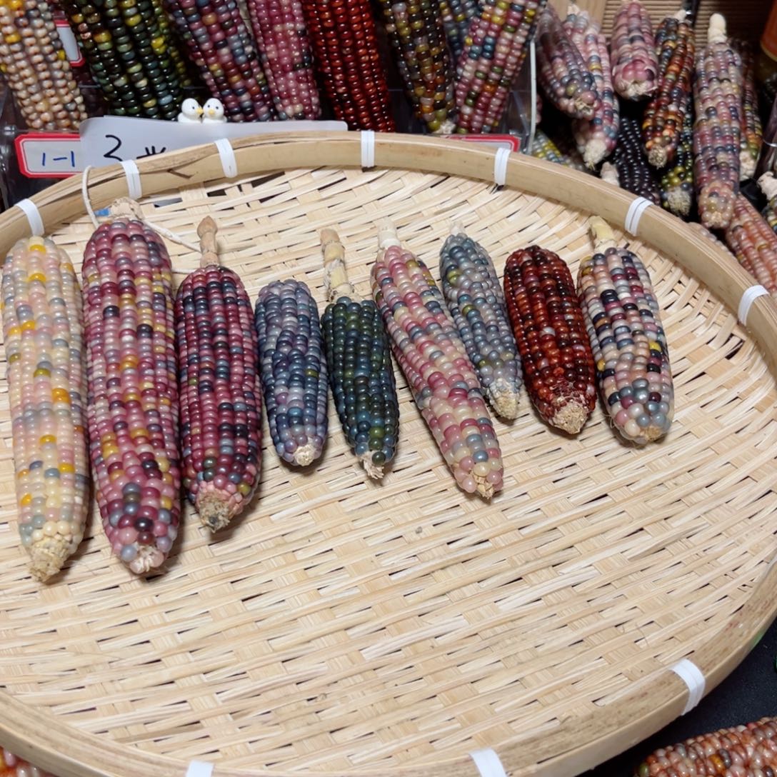 E***Y直播间七彩叶文玩玉米不退换