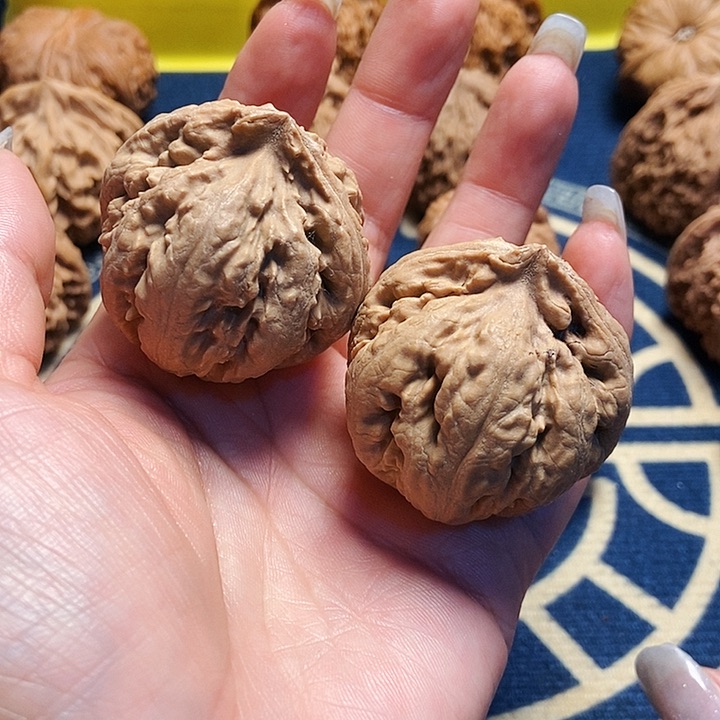 吊坠文玩核桃霸王龙的