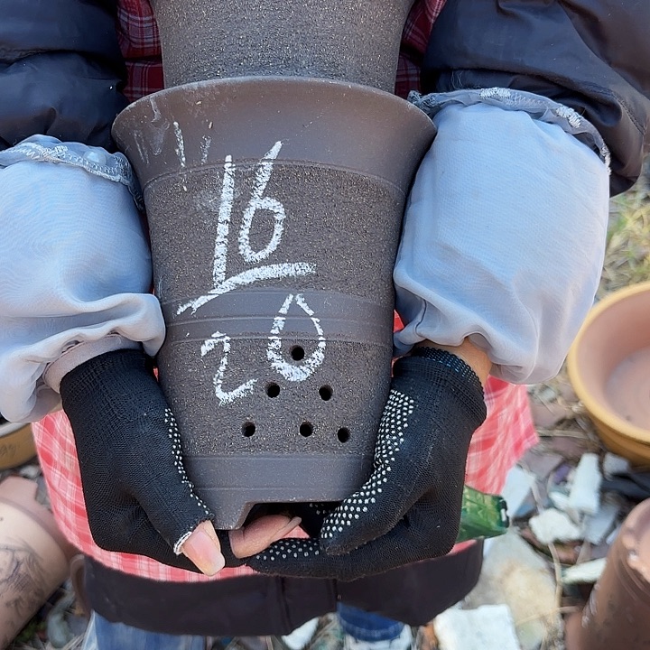 紫砂茶壶紫砂的颜色