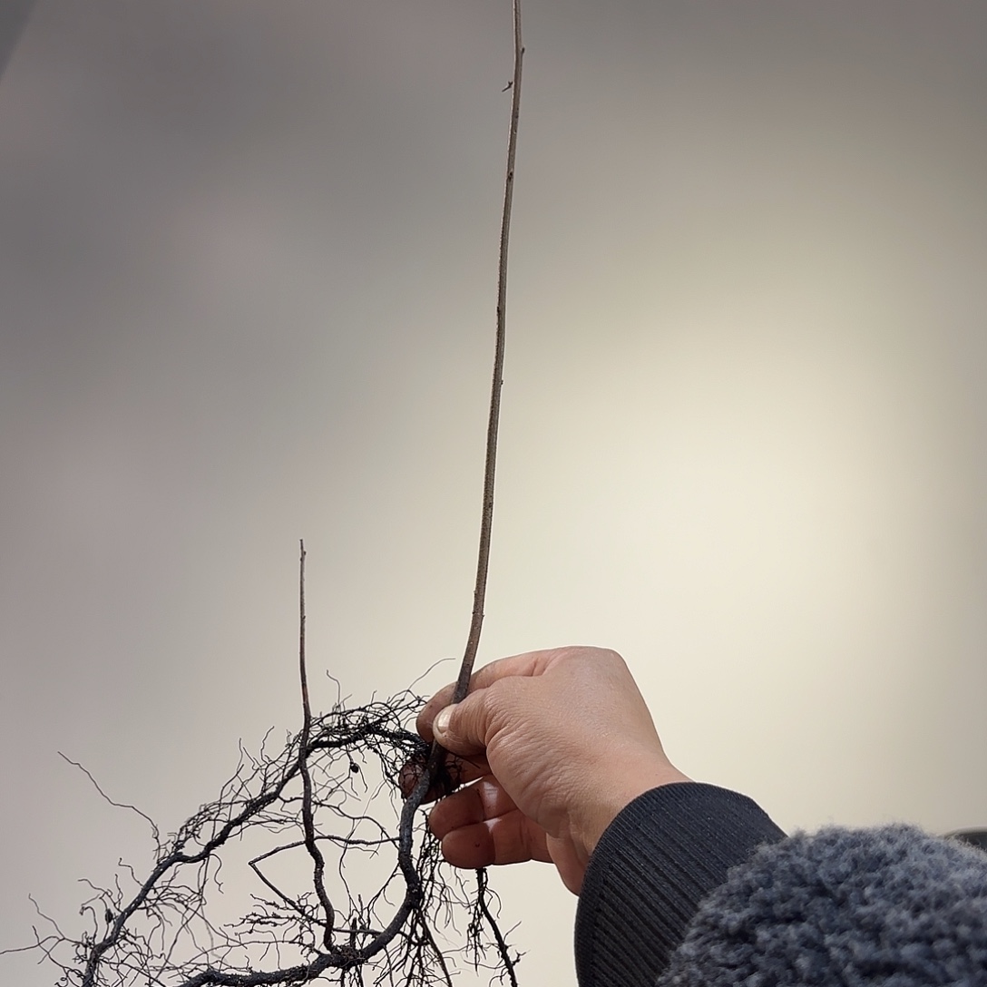 张***强未知哈哈哈哈哈哈哈哈哈