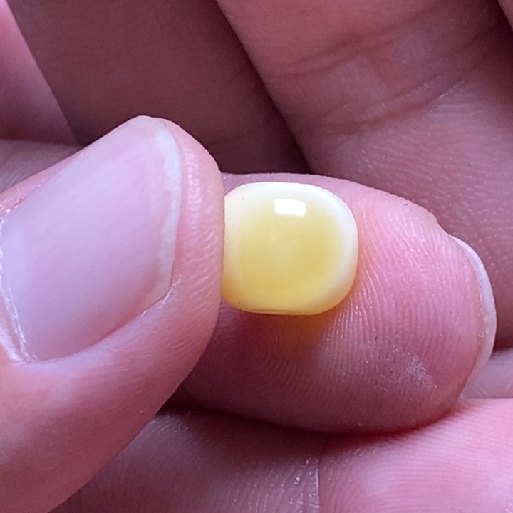 未镶嵌琥珀裸石余****宁天然蜜蜡