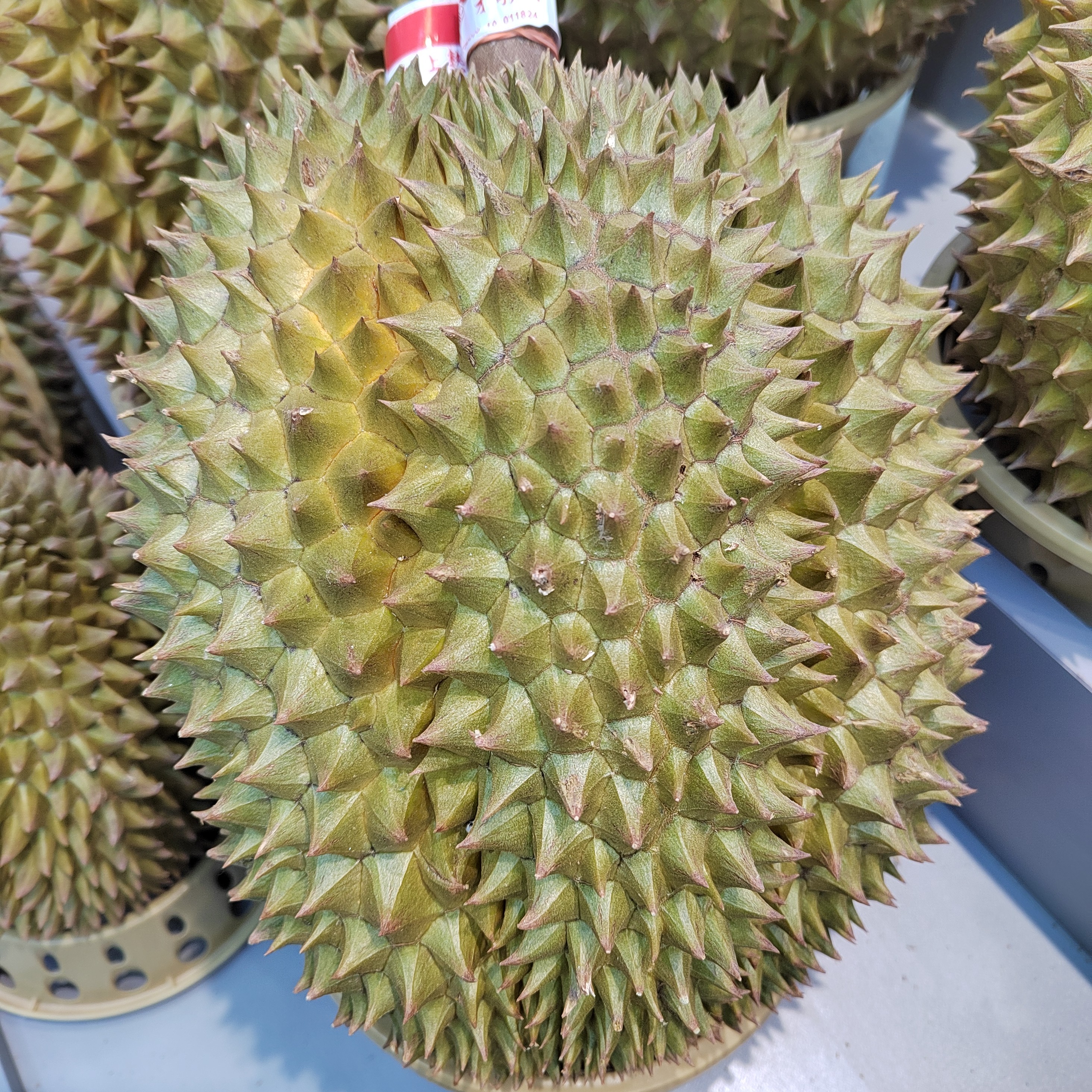 泰国青尼榴莲  鲜榴莲  核大1.5千克-5千克青尼泰国