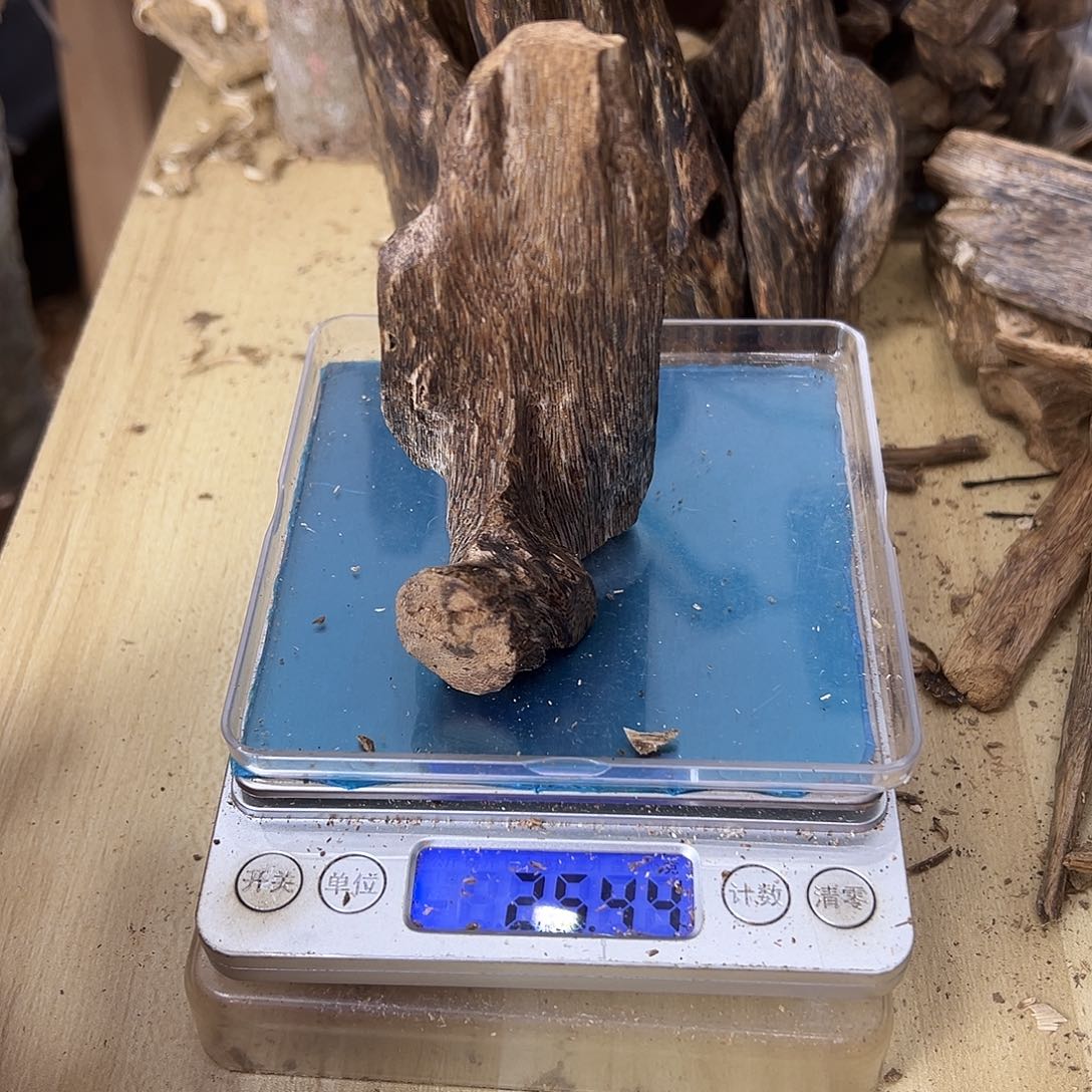 香料绿奇楠虫漏25克乌身