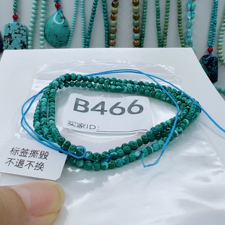 绿松石未镶嵌颈饰