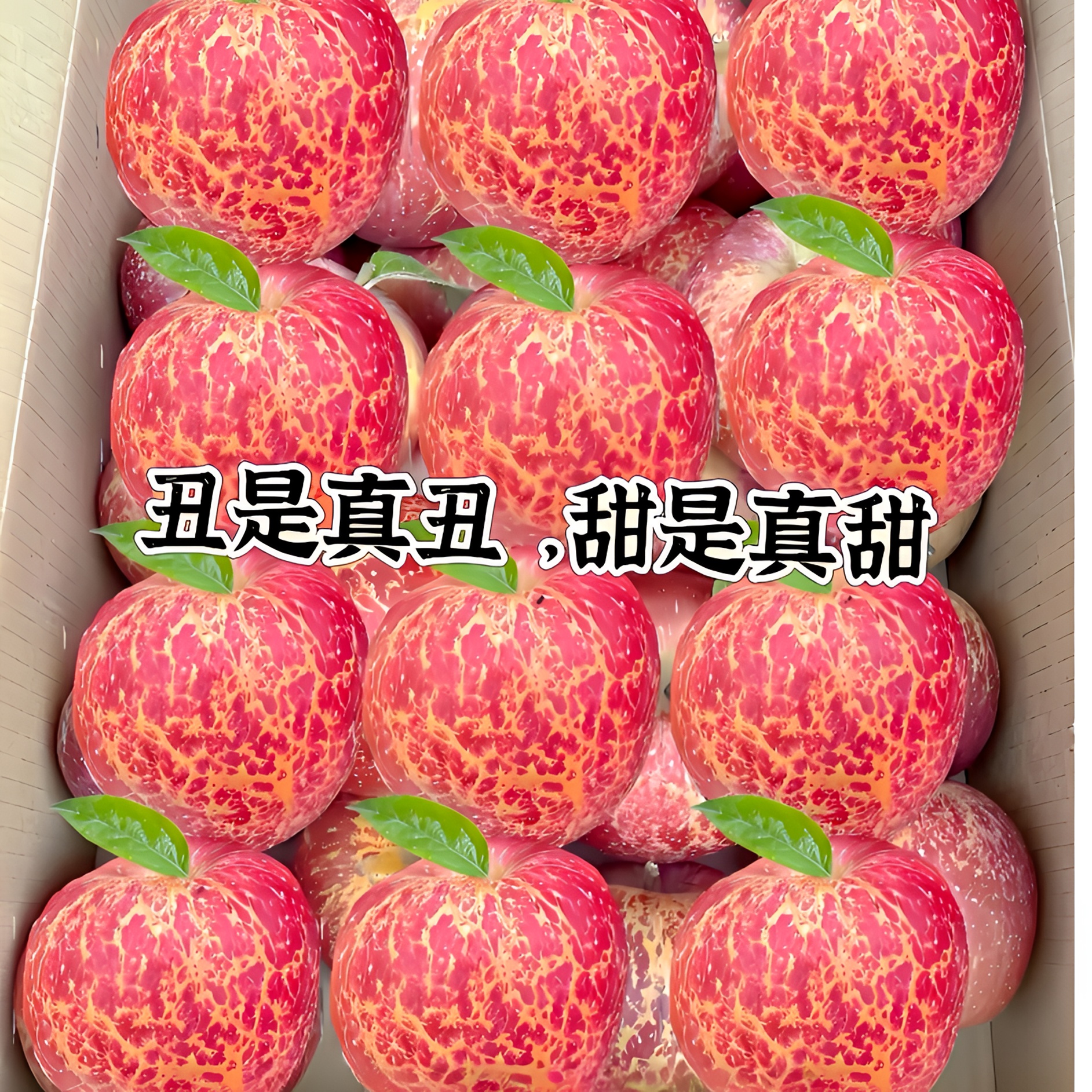 正宗云南昭通冰糖心红富士丑苹果脆甜多汁现摘产地新鲜水果5斤起