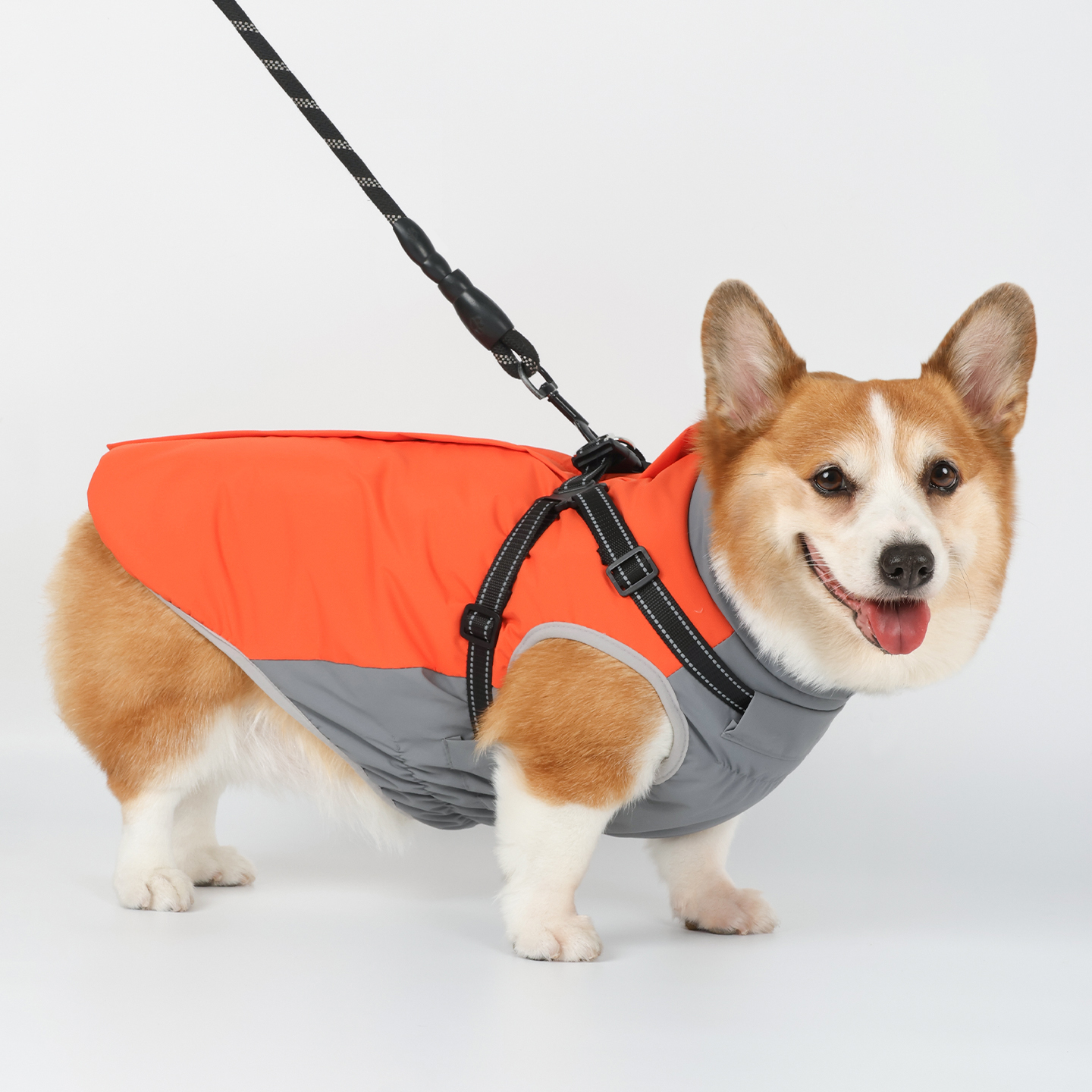 宠物狗狗衣服可牵引棉衣柯基柴犬冲锋衣冬装2025新款加厚保暖冬季