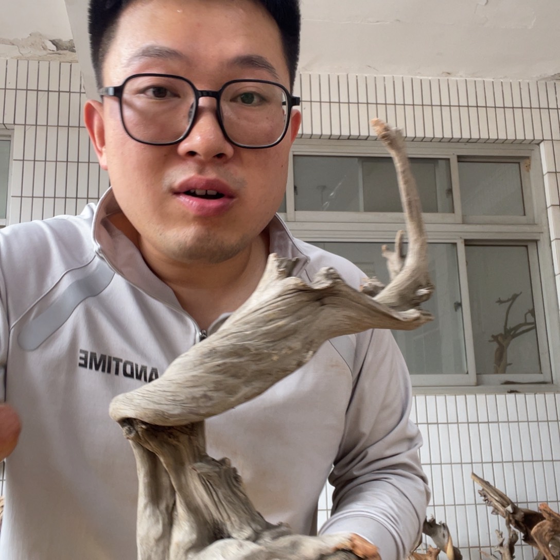 柏木新**夫啦咯啦咯啦咯啦咯