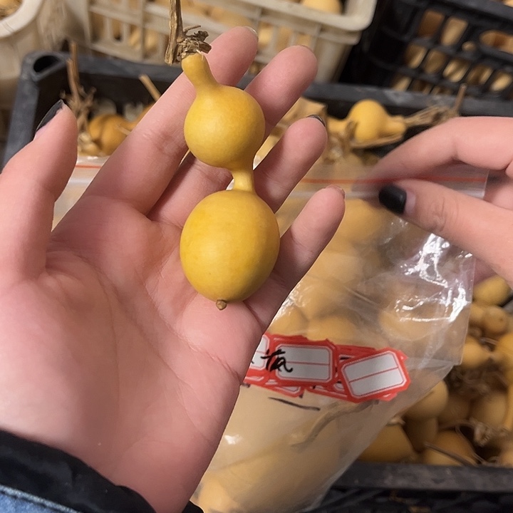 蚂蚁葫芦漂亮小的