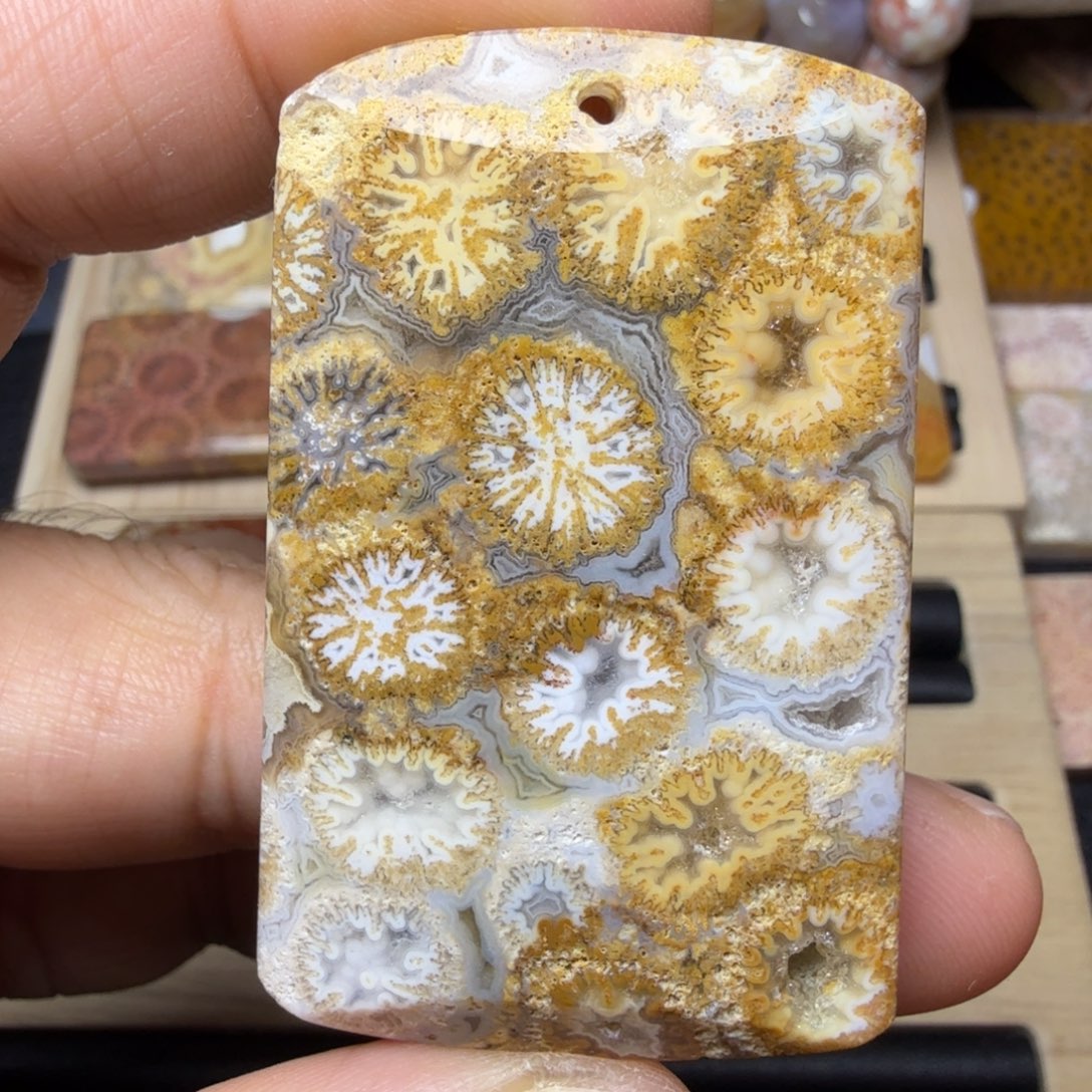 硅化玉未镶嵌纯天然色有机玉石保真色