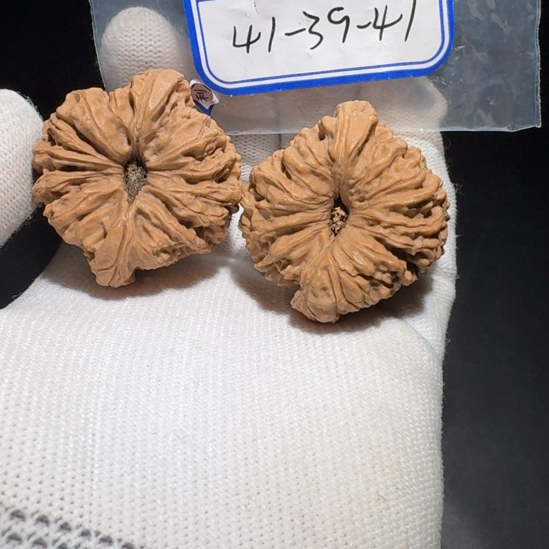 文玩核桃把件4号黄金甲