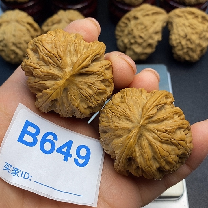 核桃苹果园4.100000