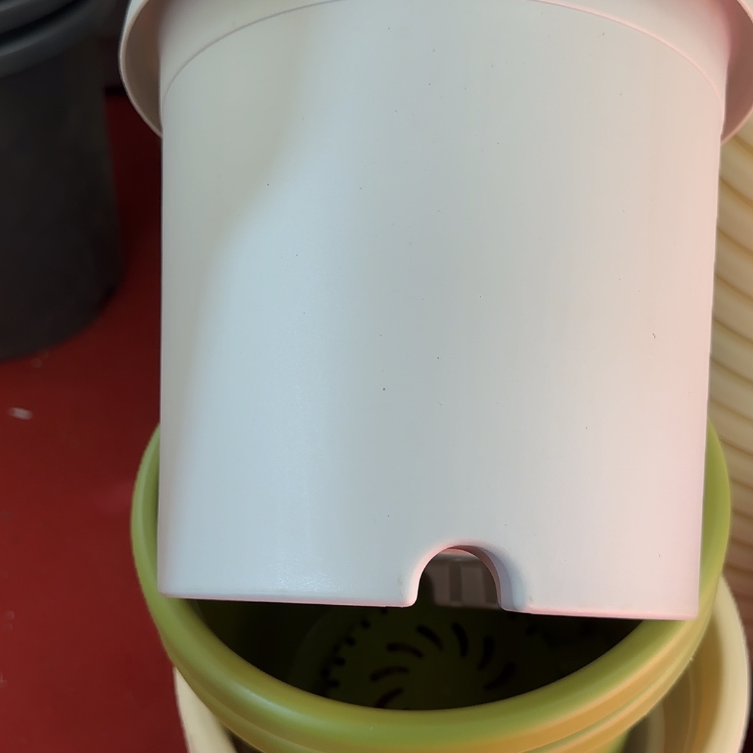 树脂四季4号无托8个灰白微瑕