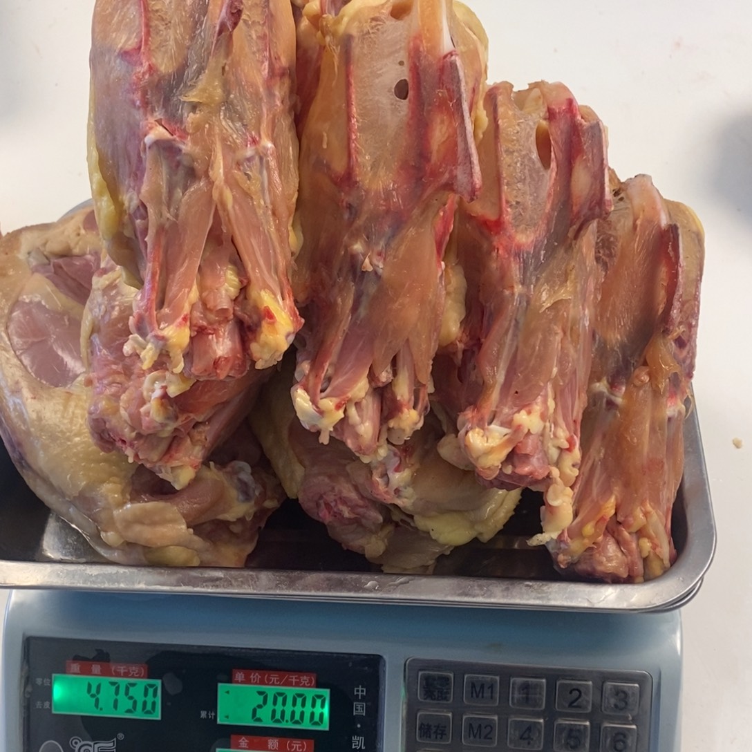 天***30天中国大陆包装肉架90