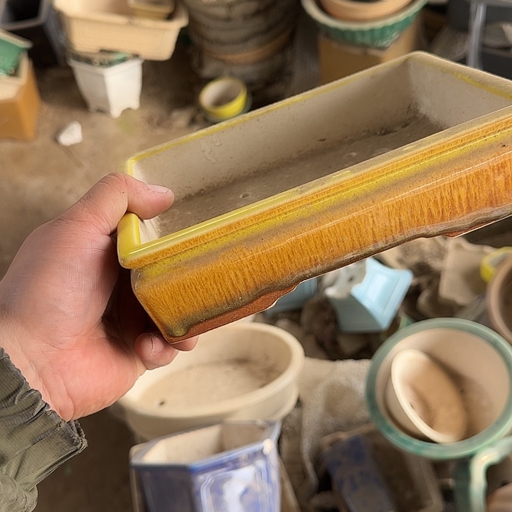 在干嘛的我还以为自己没看完这篇论文我看着