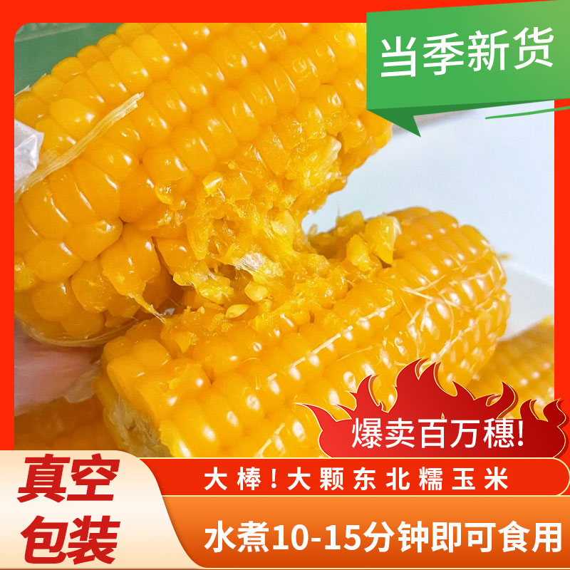 【到手10根】东北黄糯玉米软糯香甜试吃2根6-7斤L